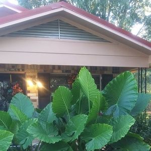 Meet your Posher, Spratt